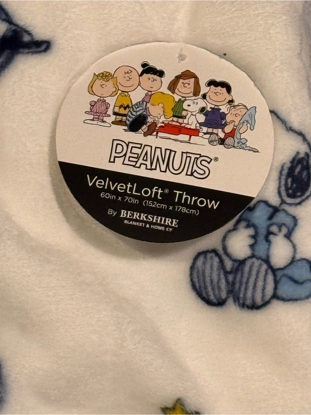 Peanuts Snoopy Super Plush Thick Oversized Throw Blanket - Picture 2 of 5